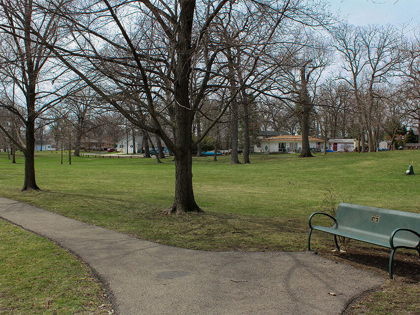 park tree bench