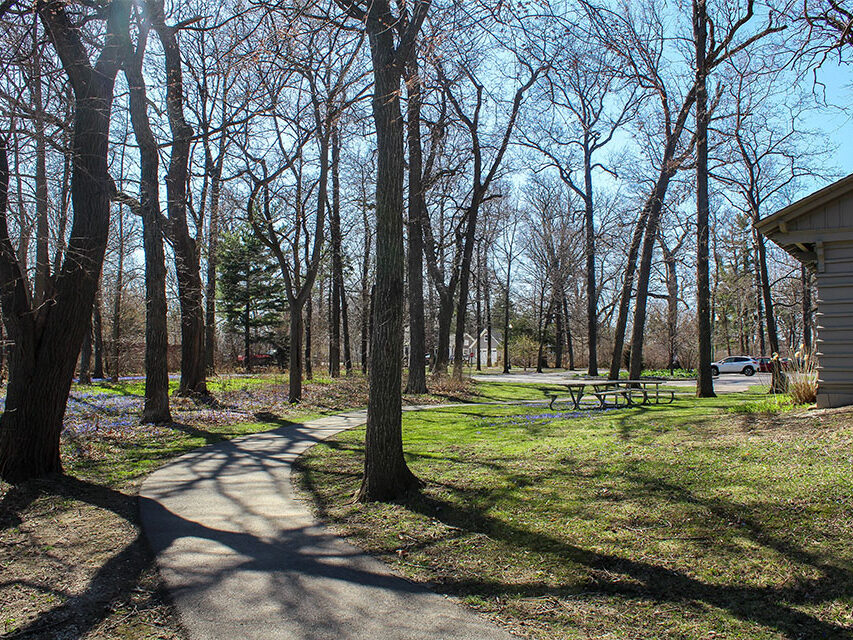 park trees path